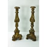A good tall pair of early 18th Century carved giltwood and gesso Candlesticks, 51cms (20") high.