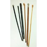 A collection of 6, varied Walking Sticks & Canes, one silver mounted ebony cane,