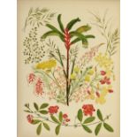 A.H. Ley Exquisite Watercolours of Australian Flowers Manning (Azelia H.