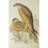 With Large Coloured Plates Gould (John) The Birds of Australia, 8 vols. Imperial Folio, L.