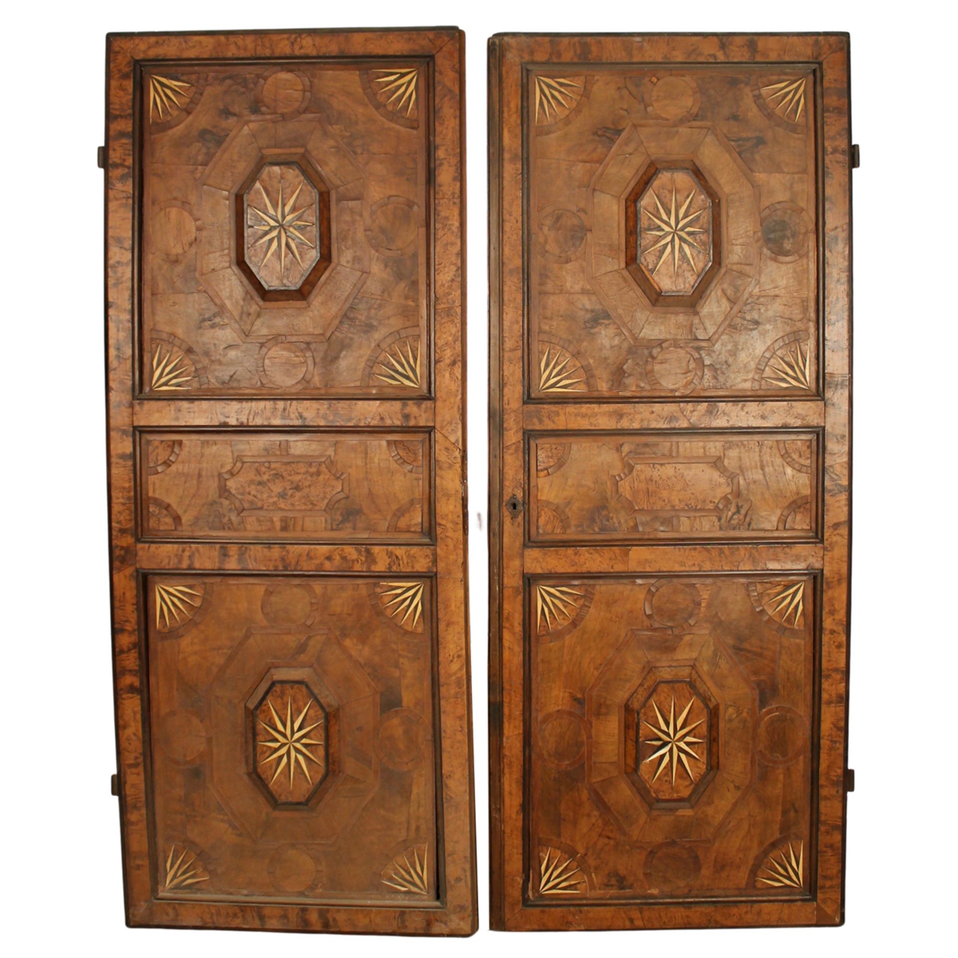 DUE ANTE DI MOBILE - TWO CABINET DOORS