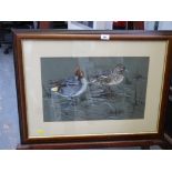 GOUACHE OF DUCKS SIGNED NEIL COX 1975 12" X 19"