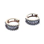 (ref. 22654) 9ct Stone set earrings (3.4gm)