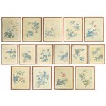 Chinese School - Collection of fifteen decorative watercolours on paper of birds amongst flowers,