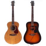 Brunswick BF200 acoustic guitar; together with a Tanglewood TW28TSB acoustic guitar fitted with an