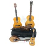 Stentor Student II violin outfit; together with a Felice Arpino bowl back mandolin, a Musima nylon