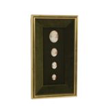 Mounted and framed collection of four Italian cameos, largest 2"