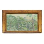 J*W*G* (20th century) - Woodland scene with mountains in the distance, signed with the artist's