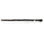 Antique Irish Shillelagh walking cane, 31" long