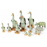 Collection of twelve graduated Chinese porcelain celadon ducks, 20th century, some with impressed