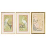 Japanese School (20th Century) - watercolour and gouache studies of Oriental birds standing upon a