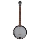 Clearwater electric guitar-banjo, gig bag