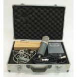 SE Electronics Z5600A microphone set, cased