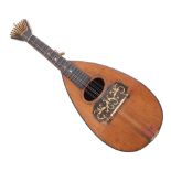 Interesting 19th century bowl back mandolin, with fan plate tuning system