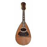 Neapolitan mandolin, by Pasquale Vinaccia e Figli, Naples, 1891, the back of twenty-seven rosewood