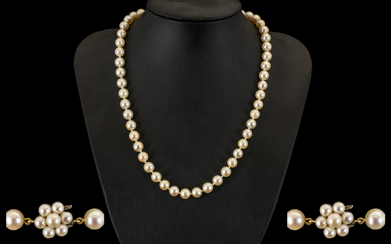 Ladies - Contemporary Designed Excellent Quality Single Strand Cultured Pearl Necklace Highlighted