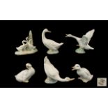 A Collection of Porcelain Bird Figures including one Lladro and five Nao 6) pieces in total.