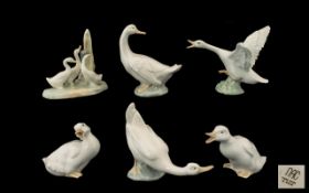 A Collection of Porcelain Bird Figures including one Lladro and five Nao 6) pieces in total.