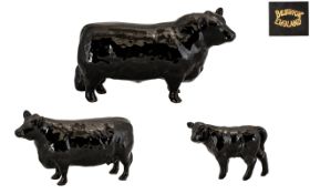 Beswick Farm Animals - Hand Painted Family Trio Aberdeen Angus Family Approved by The Aberdeen