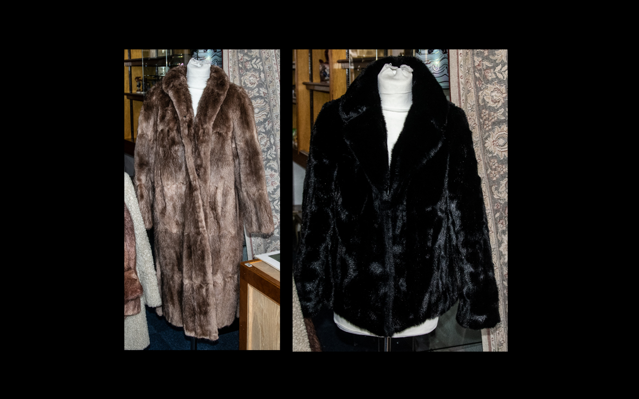 Full Length Musquash Fur Coat in light brown colour, fully lined in sateen printed fabric,