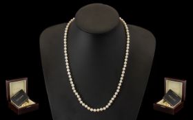 Pearl Necklace by Iliana.