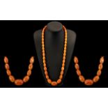 Early 20th Century Egg Yolk Coloured Graduated Amber Coloured Beaded Necklace. 65.5 grams.