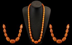 Early 20th Century Egg Yolk Coloured Graduated Amber Coloured Beaded Necklace. 65.5 grams.