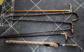 Collection of Five Vintage Walking Sticks with various styles and handles,