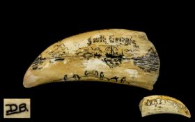 Whale Bone Tooth, decorated with painted scenes from South Georgia,