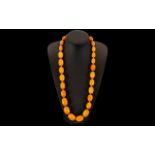 Butterscotch - Amber Graduated Bead Necklace - Knotted. Please Confirm with Photo. 143.6 grams. 28