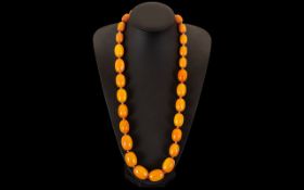 Butterscotch - Amber Graduated Bead Necklace - Knotted. Please Confirm with Photo. 143.6 grams. 28