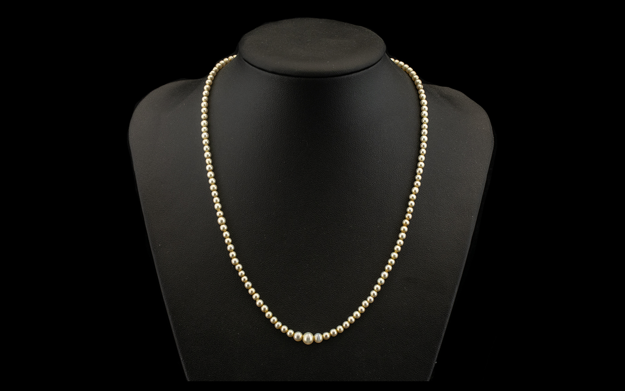 Antique Period - Nice Quality Seed Pearl Necklace. Features a 9ct Gold and Enamel Clasp. Marked 9ct.