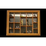 Wooden Display Case with Mirrored Interior & Glass Front, housing a collection of Isle of Man