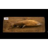 Irish Fishing Trophy Carved Wooden Fish Mounted On A Rectangular Panel,