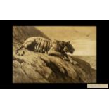 Herbert Dicksee Pencil Signed Etching of a Tiger Sitting on a Rock Surveying the Area Beyond.