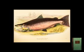 British Salmonidae by Sir W Jardine.