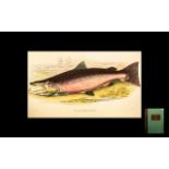 British Salmonidae by Sir W Jardine.