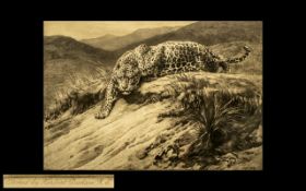 Herbert Dicksee Print (HD 1914) Depicting a Leopard on a grassy outcrop.