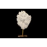 Decorative Item, Faux Mounted Decorative Coral Module of Oval Shape. 24 Inches High & 14 Inches