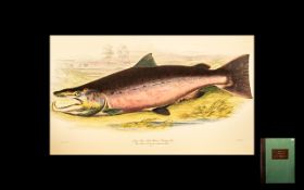 British Salmonidae by Sir W Jardine. Bar