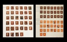 Stamps GB Used Collection in Album from 1840 to 1960;