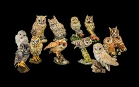 Box of Assorted Owl Figures from the 'Magnificent World of Owls' Collection, twelve in total.