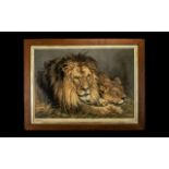 Large Print of British Lions framed and mounted behind glass, depicting a lion and lioness,