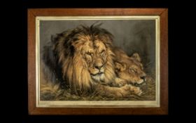 Large Print of British Lions framed and mounted behind glass, depicting a lion and lioness,