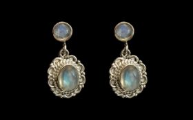 Rainbow Moonstone Drop Earrings,