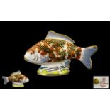 Royal Crown Derby Exclusive & Numbered Edition Handpainted Paperweight 'Koi Carp'.