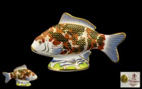 Royal Crown Derby Exclusive & Numbered Edition Handpainted Paperweight 'Koi Carp'.