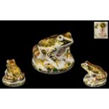 Royal Crown Derby Limited Numbered Edition Hand Painted Imari Paperweight 'Old Imari Frog',