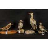 Taxidermy Interest - Four Stuffed Birds on Wood Bases. Largest size 16" high to 9" high.
