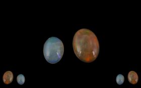 Ethiopian - Loose Natural Opals ( 2 ) In Total. Comprises 1/ 2.99 cts, Measurements 14.3 x 10.